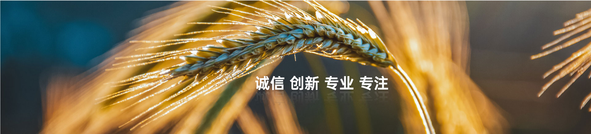 顧客至上，信譽(yù)第一